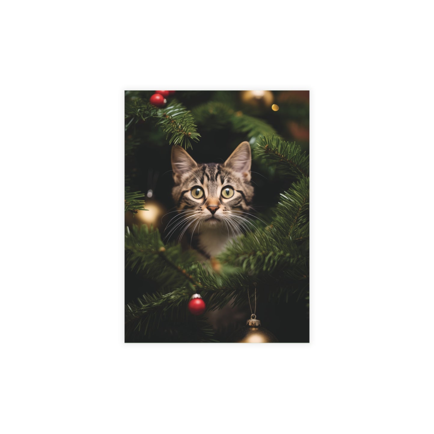 Caught Decorating Cat Christmas Postcards Cat Christmas Cards holiday greeting cards pack of Christmas cards set, cats, holidays, cards